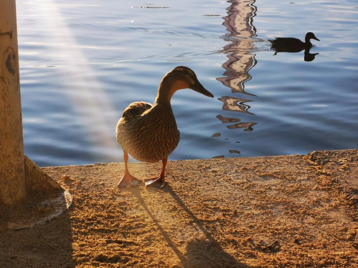 Ferienparadies Gutounik Pörtschach am Wörthersee Εξωτερικό φωτογραφία